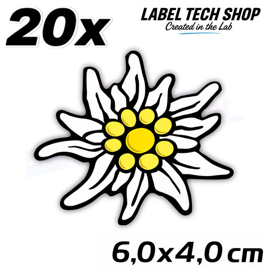 20x Edelweiß Aufkleber 🌼 Alpenblume Sticker – Stella Alpina 6,0×4,0 cm