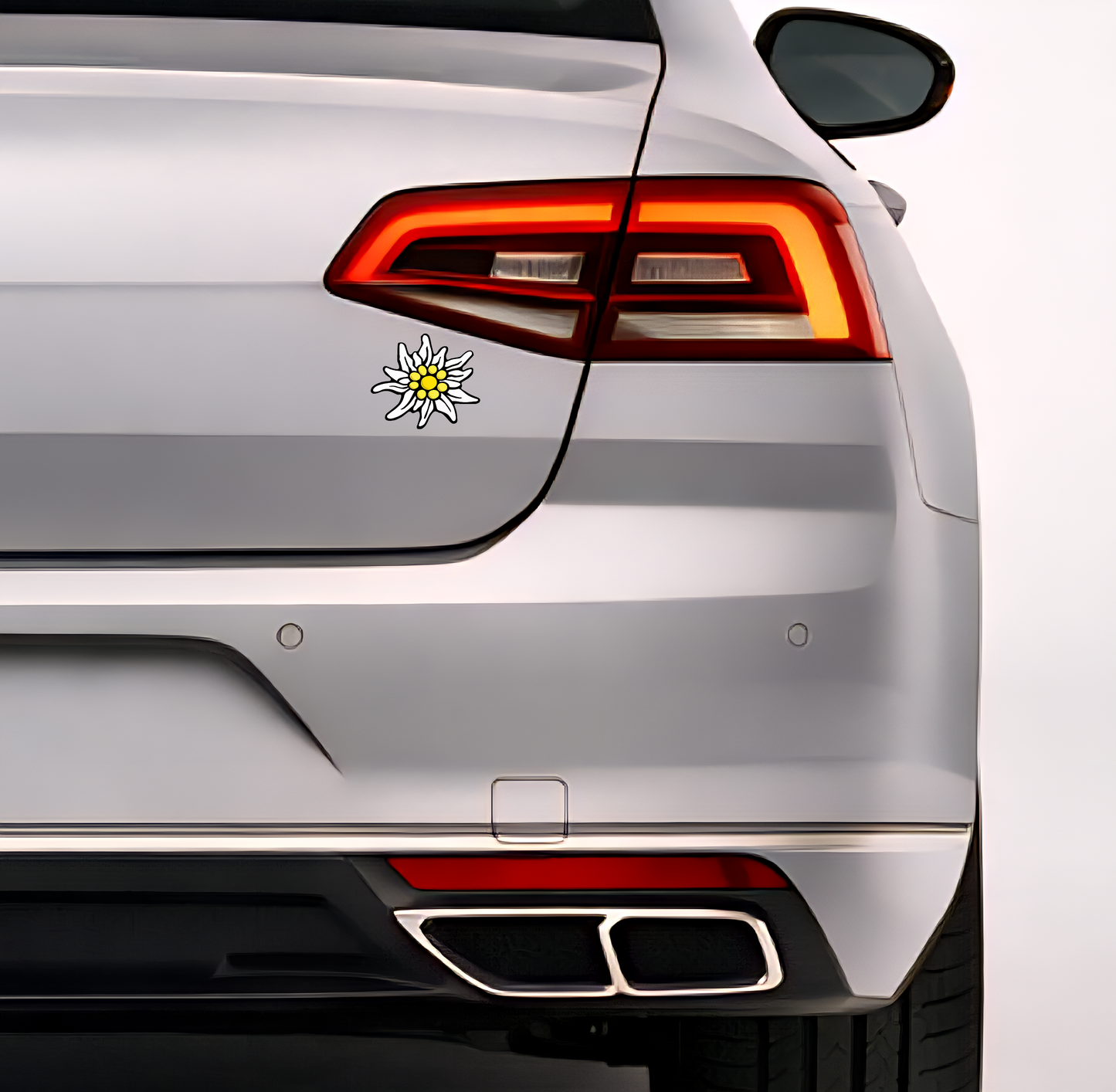 10x Edelweiß Aufkleber 🌼 Alpenblume Sticker – Stella Alpina 6,0×4,0 cm