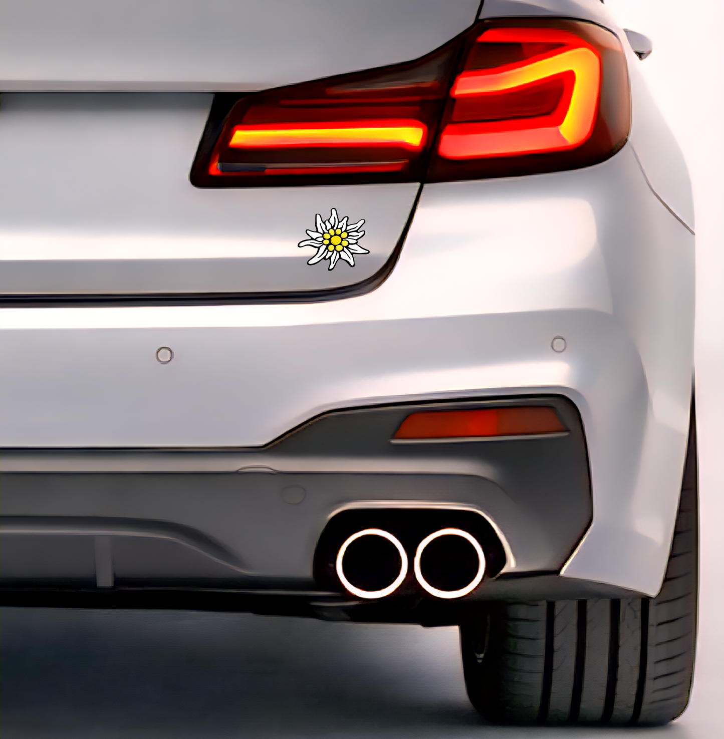 10x Edelweiß Aufkleber 🌼 Alpenblume Sticker – Stella Alpina 6,0×4,0 cm